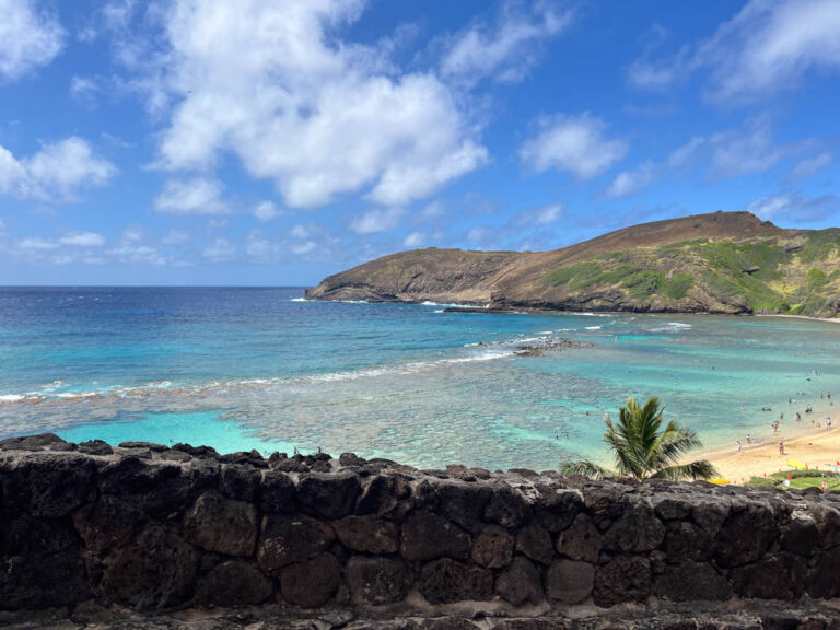 하와이 하나우마베이 가격과 예약 방법 (꿀팁 대방출)